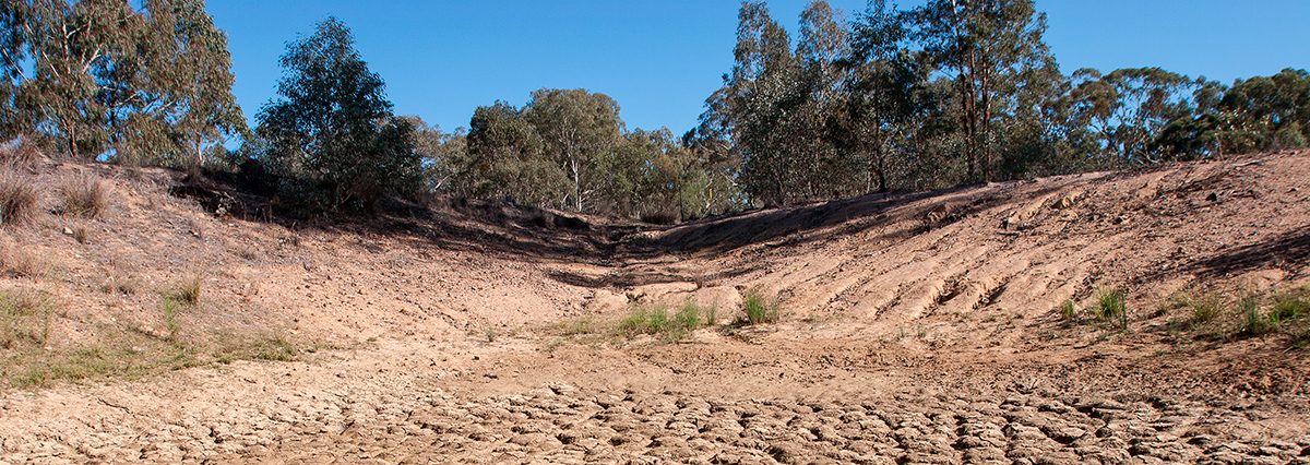 Se-declara-zona-de-escasez-hídrica-a-las-comunas-de-Curacaví,-María-Pinto-y-Melipilla