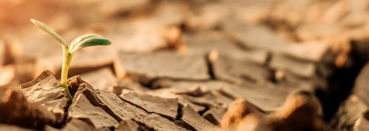 Se-declara-zona-de-escasez-hídrica-a-las-provincias-de-San-Antonio-y-Valparaíso