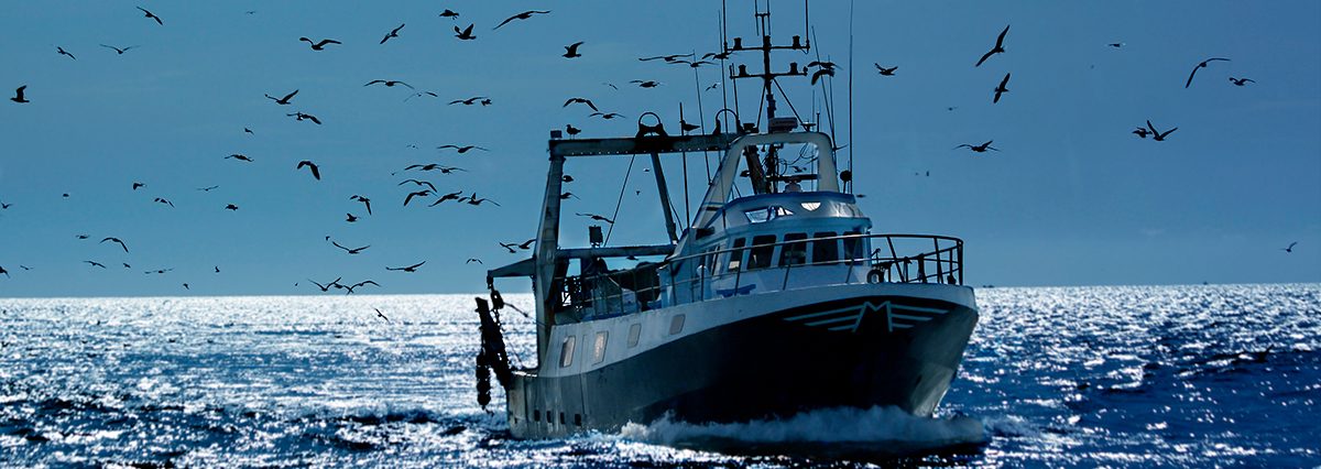 Se-suspende-la-declaracion-de-caducidad-de-las-inscripciones-en-el-Registro-Pesquero-Artesanal