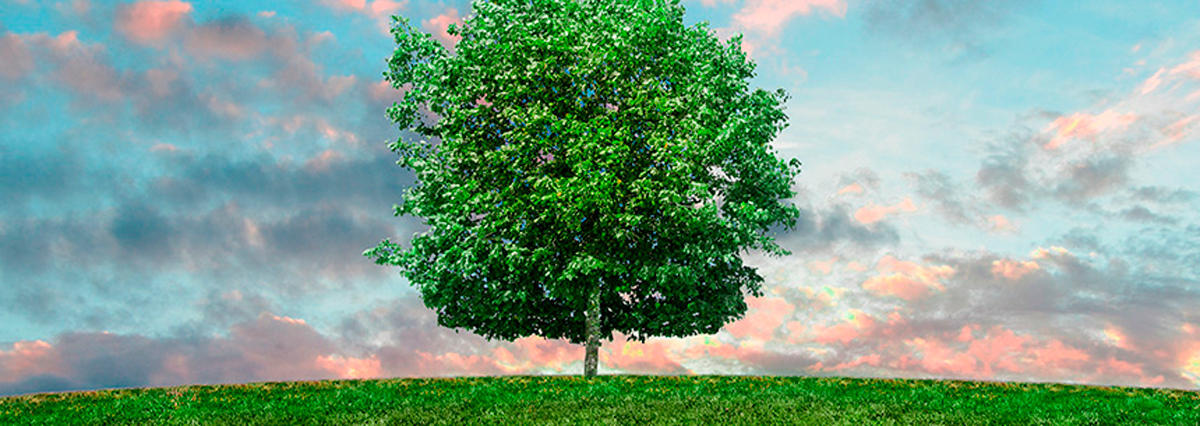 Servicio-de-Evaluacion-Ambiental-prorroga-la-suspension-de-los-procesos-de-evaluacion-de-impacto-ambiental