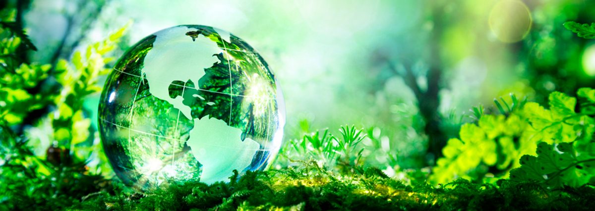 Tribunales-Ambientales-son-la-sede-natural-para-discutir-la-impugnación-de-una-Resolución-de-Calificación-Ambiental-