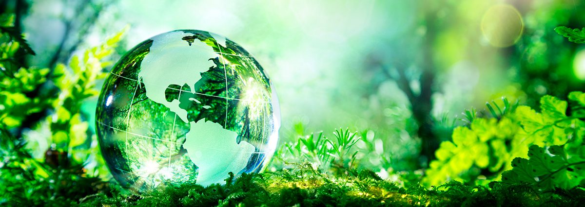 nota-áreas-protegidas