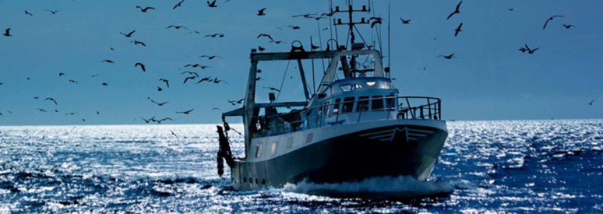 pesca