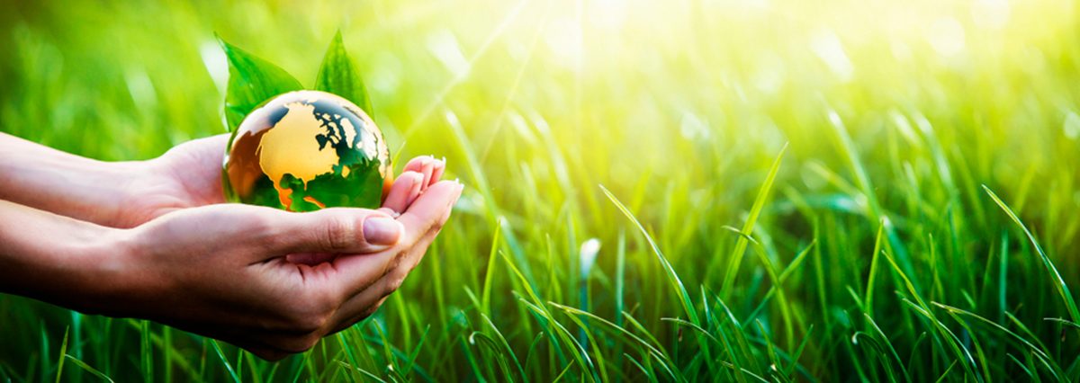 shutterstock_1092798047