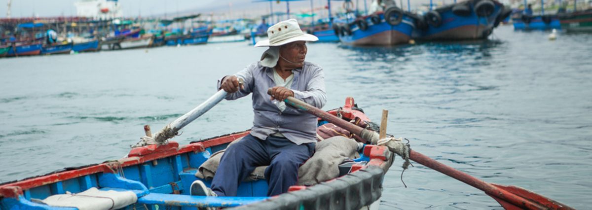 shutterstock_1265734225