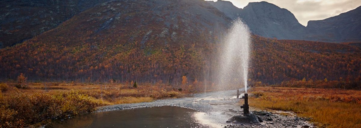 shutterstock_1371498572