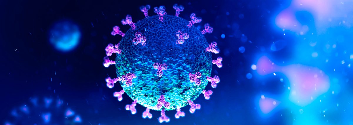 shutterstock_1643947495