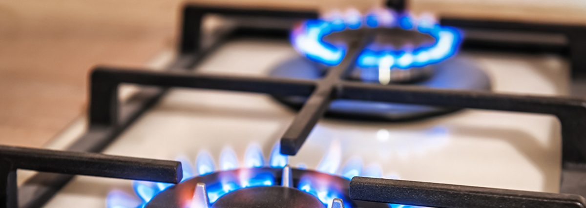 shutterstock_1660250275