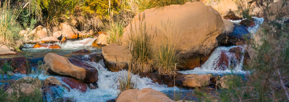 shutterstock_1662293272