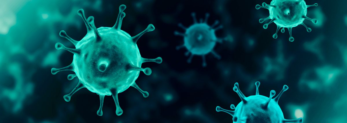 shutterstock_1662701254