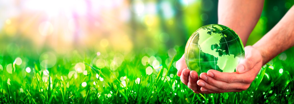 shutterstock_1672124824