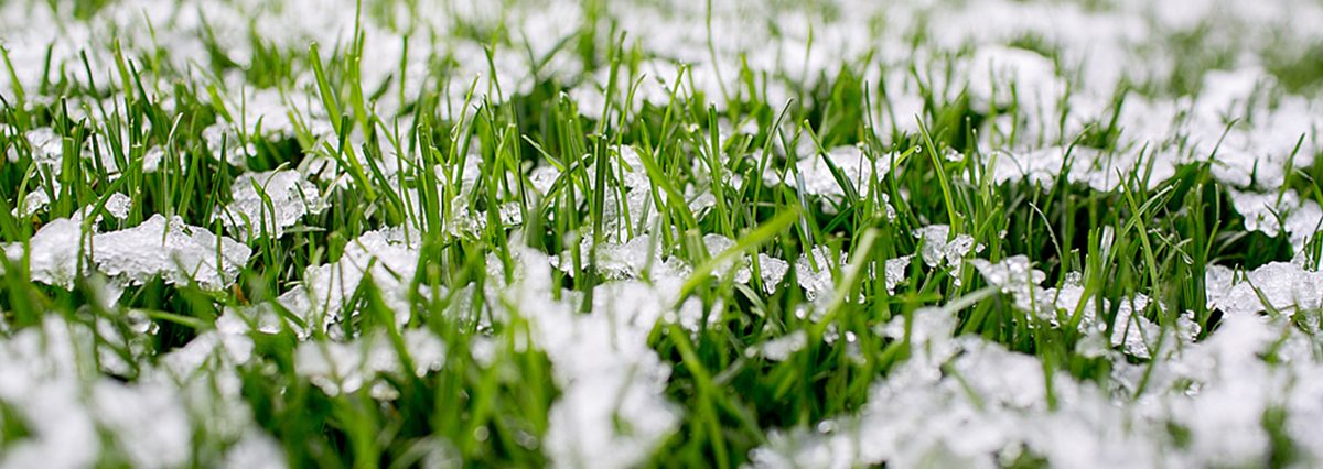 shutterstock_1699392703