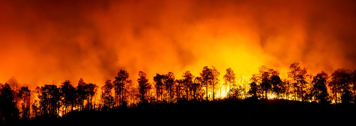 shutterstock_1736351948