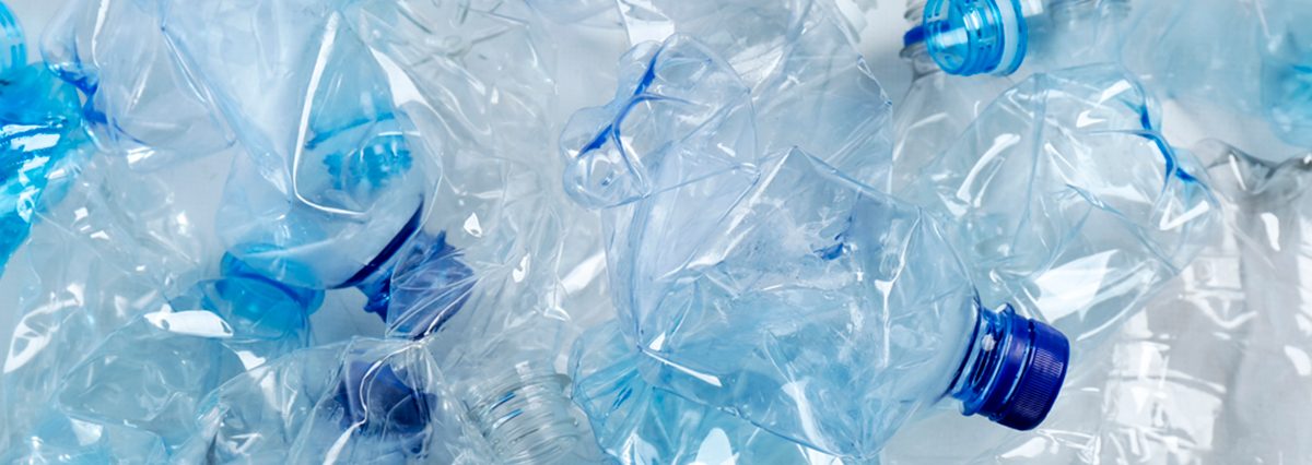 shutterstock_1890857743