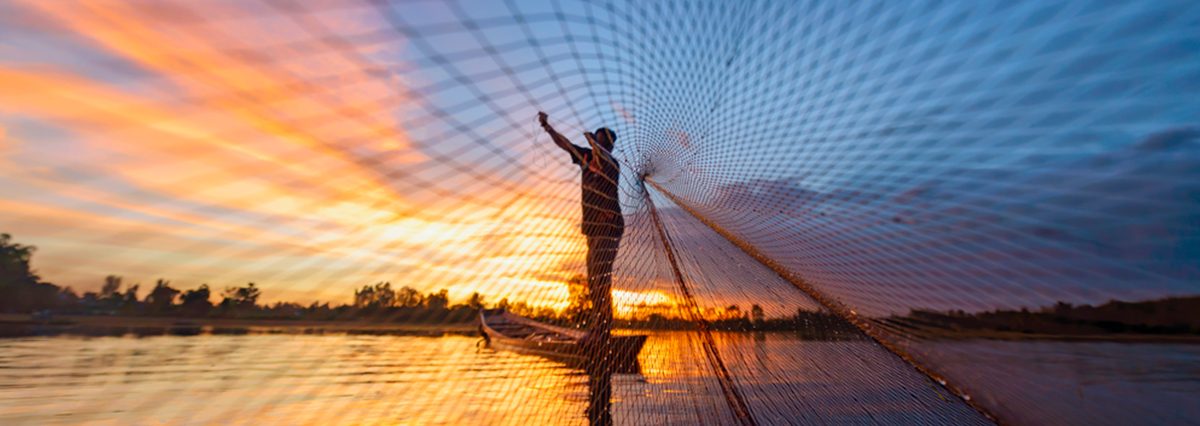 shutterstock_1900159927