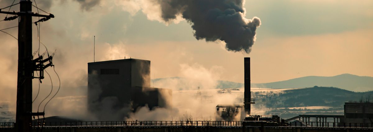 shutterstock_1901341063