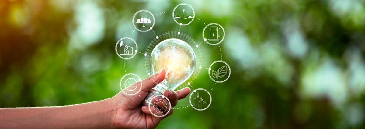 shutterstock_1911268573