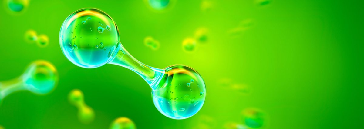 shutterstock_1938738706