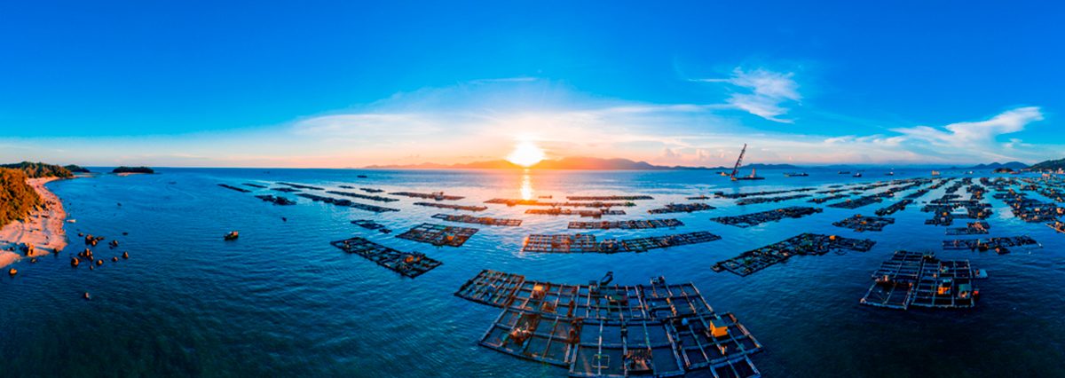 shutterstock_1953409747