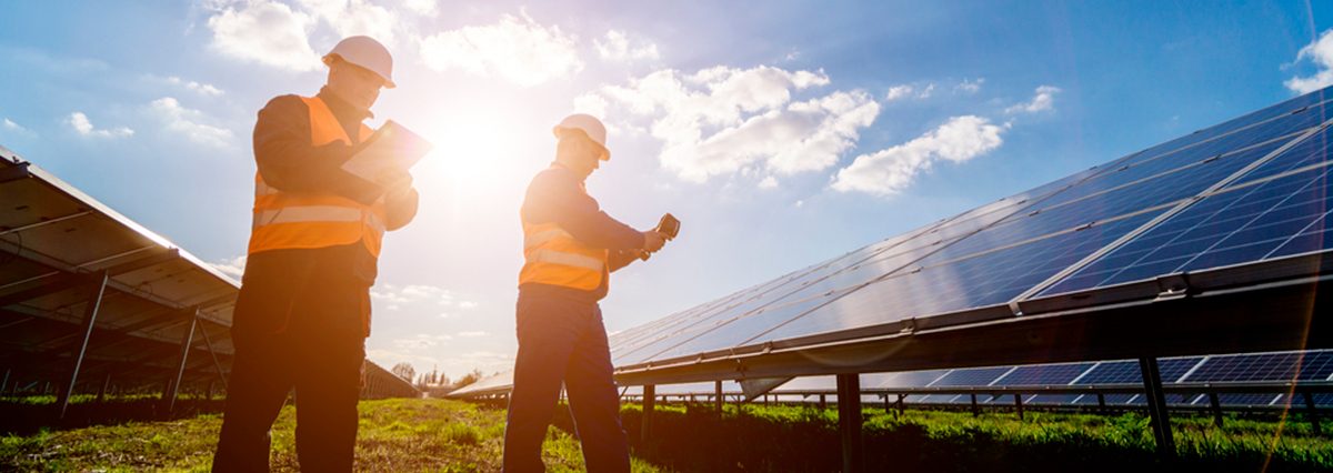 shutterstock_1977644384