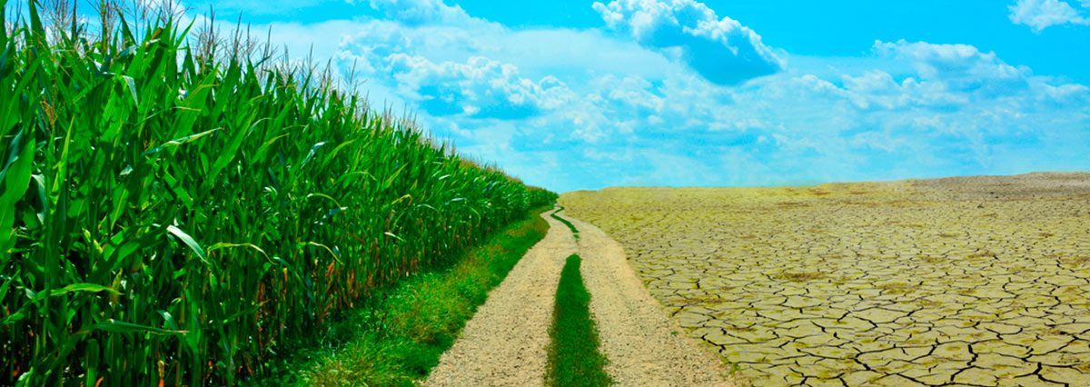 shutterstock_2003053544