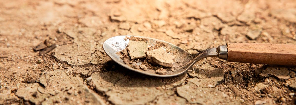 shutterstock_2043900752