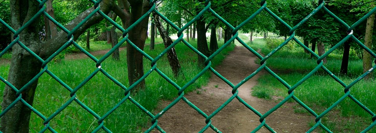 shutterstock_2082700750