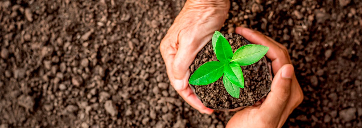 shutterstock_613473959