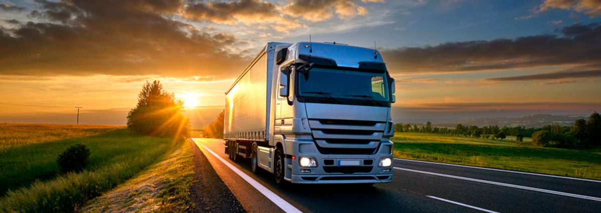 transporte